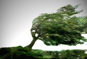 Andreas Templin Bild Blaue Nacht Kopie