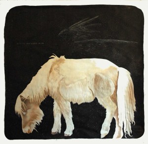 Follow_the_white_horse